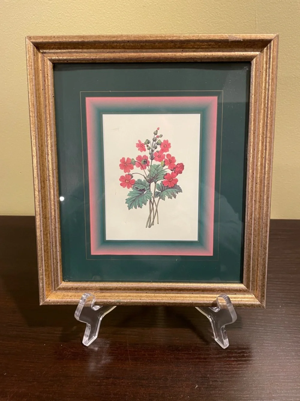 Vintage Botanical Floral Art Print Gold Framed 9”x8”